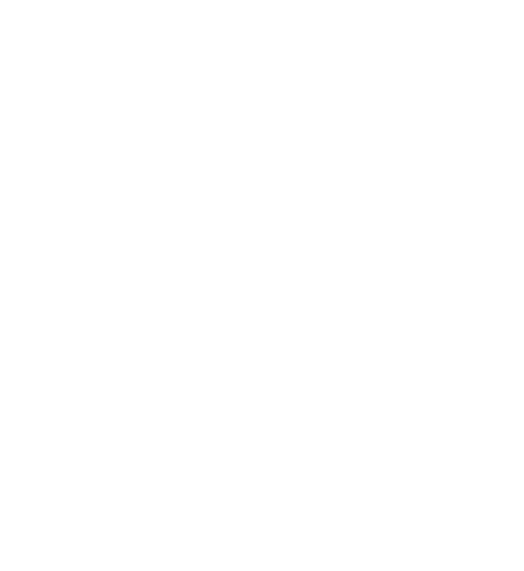Spigen logo