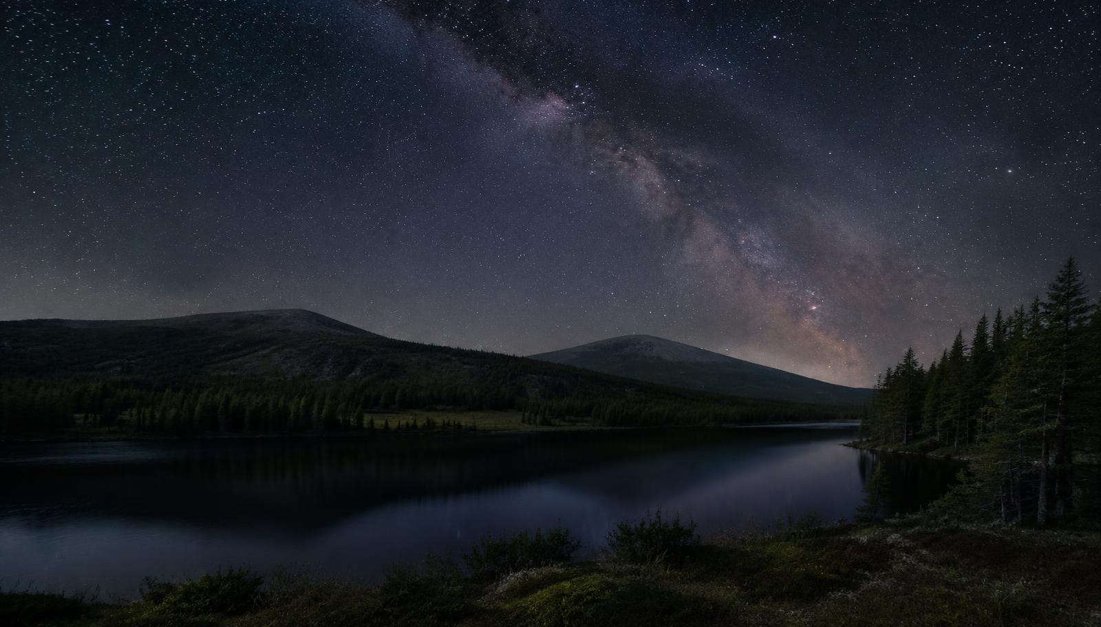 Loch and pine forest under a starry night sky in Galloway Forest Park
